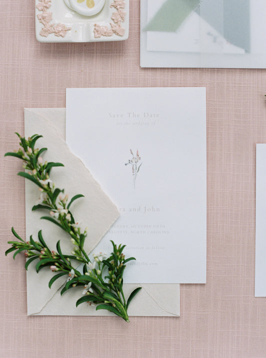 The 'Lara' Save The Date