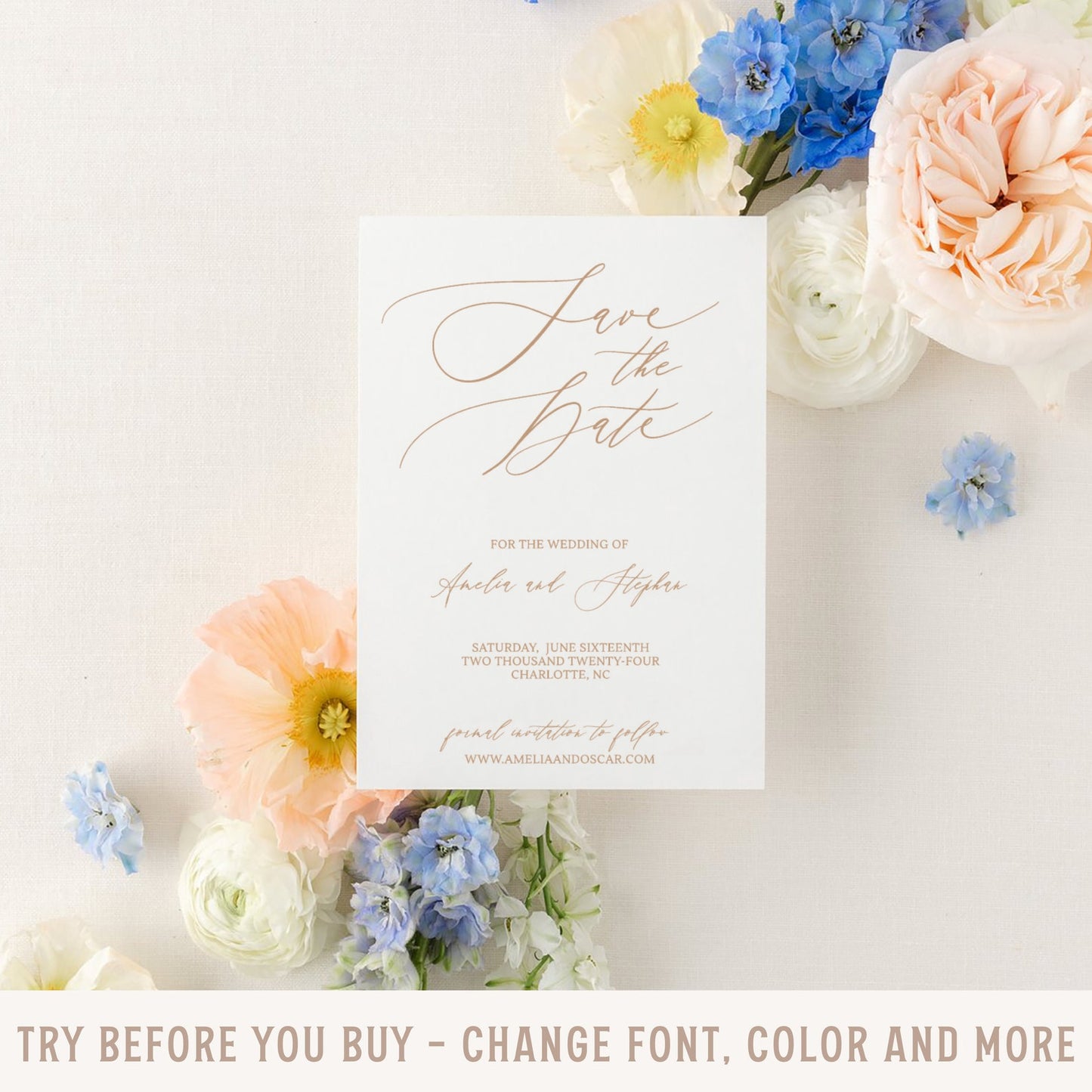 The 'Amelia' Save The Date