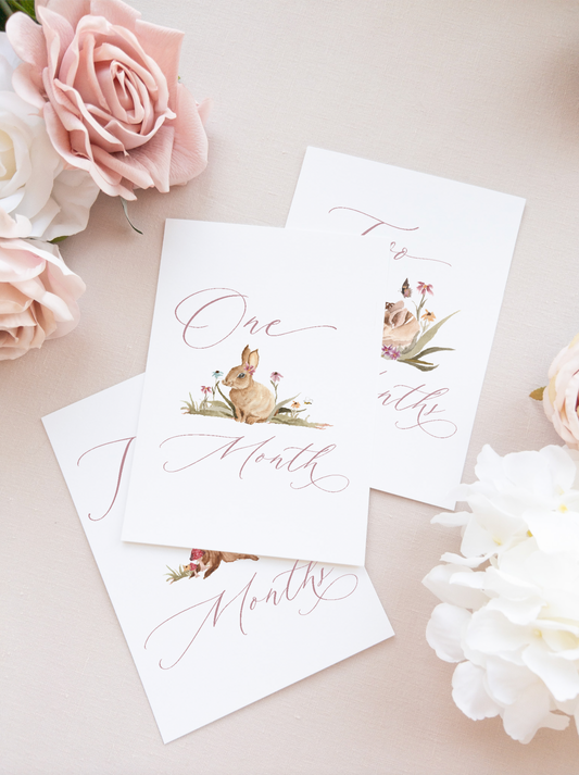 Baby Milestone Products